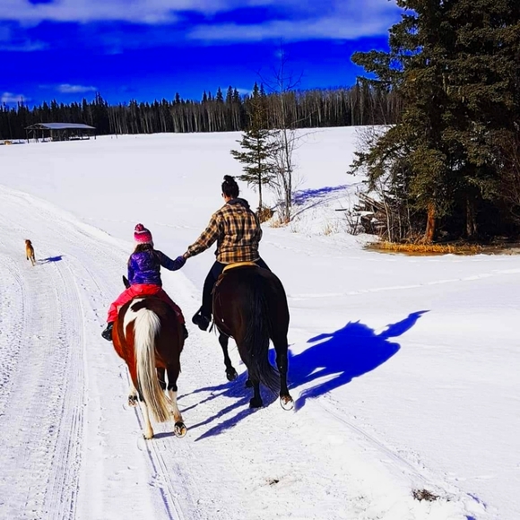 Meet your Posher, Sheila - Picture 1 of 1
